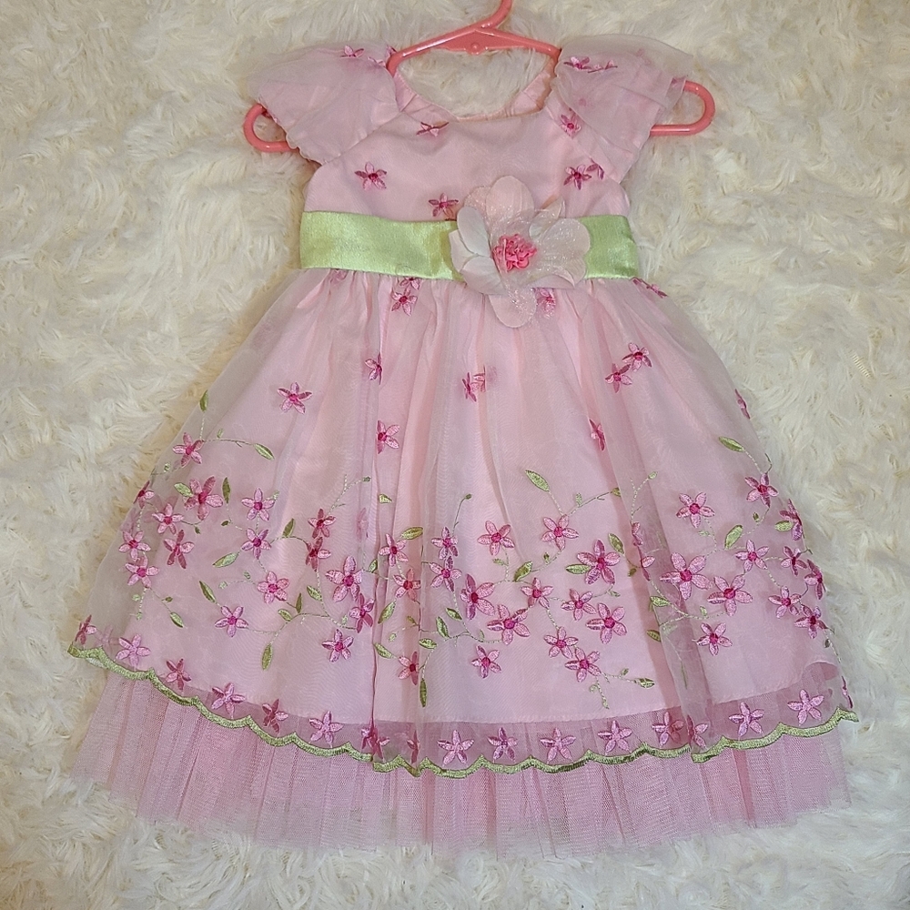 Jona Michelle Pink Green Embroidered Tulle Special Dress  Floral Accents 12 Mo.